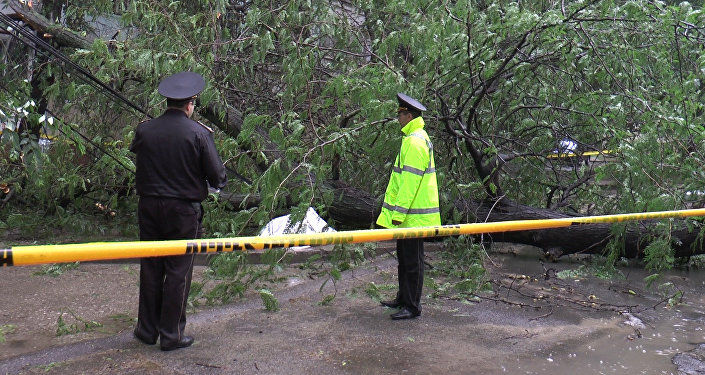 Femeia care a fost strivită la Chișinău de un copac avea 40 de ani și locuia în apropiere de locul tragediei. Foto: SPUTNIK/ EVGHENII PANASENCO