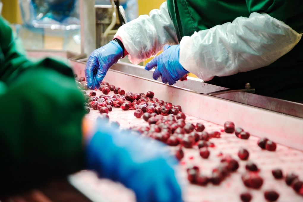 T.B. Fruit Moldova – это часть украинской группы T.B. Fruit, с компаниями в Украине и Польше.