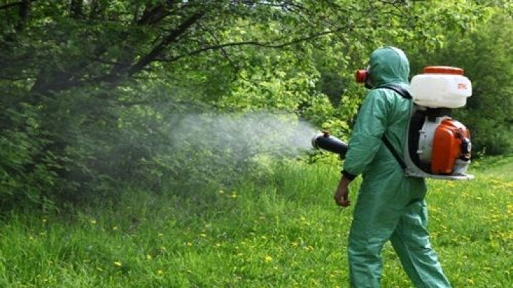Для работы потребуется более тонны химических препаратов. 