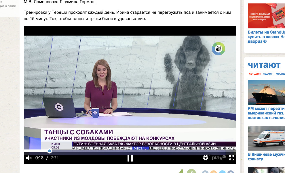 Танцующего пуделя знают все педагоги лицея. А дети не упускают возможности погладить пушистого пса. 