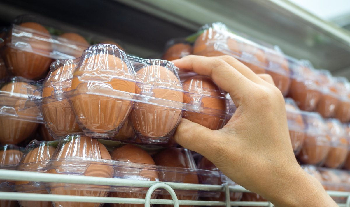 Яйца в торговой сети будут классифицированы по качеству и весу.