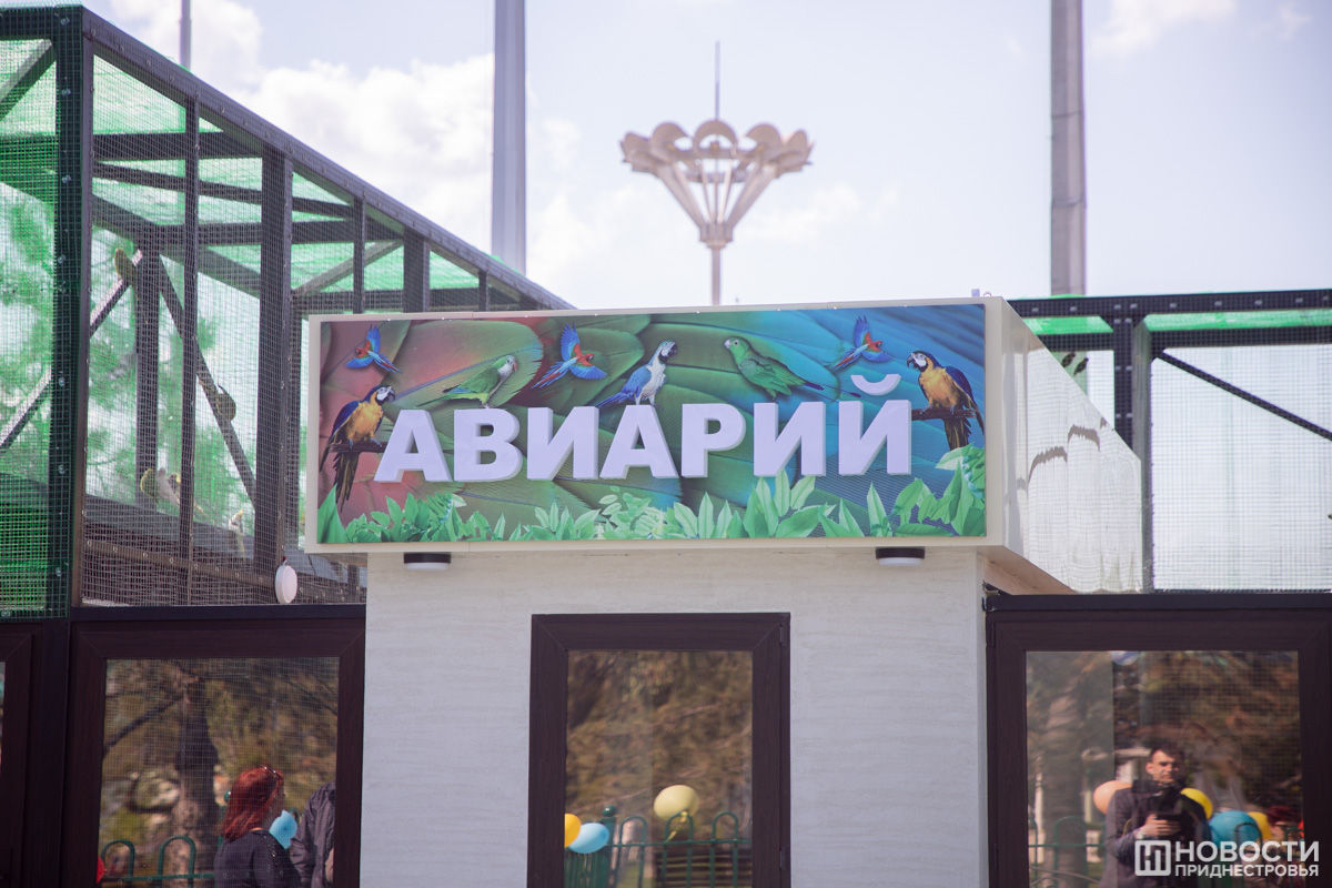 В тираспольском парке открыли «Авиарий», где поселили 50 попугаев.
