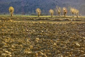 Luna iunie, 2012, a fost a 14-a cea mai caldă şi a 10-a cea mai secetoasă înregistrată până în prezent, se arată într-un comunicat.