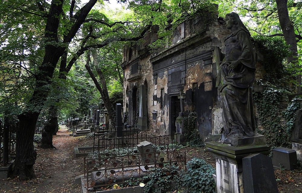 Захоронение было найдено на западе Ирландии. Фото: holidaygid.ru.