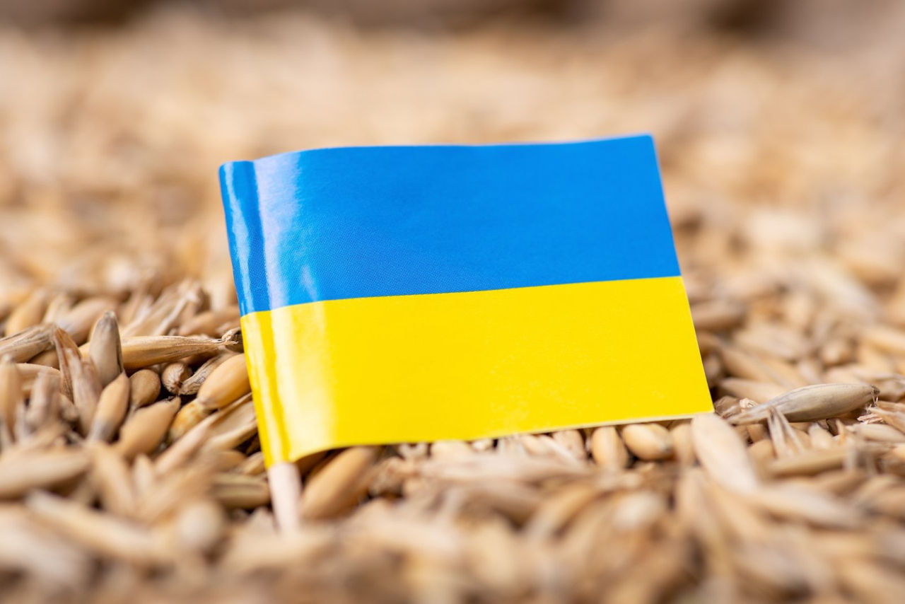 Reuters: Украина хочет продлить работу зернового коридора еще на год.