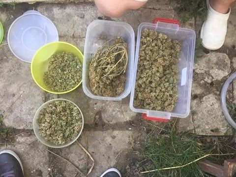 1 июня 2017 года в Молдове была начата операция „MAК – 2017”.