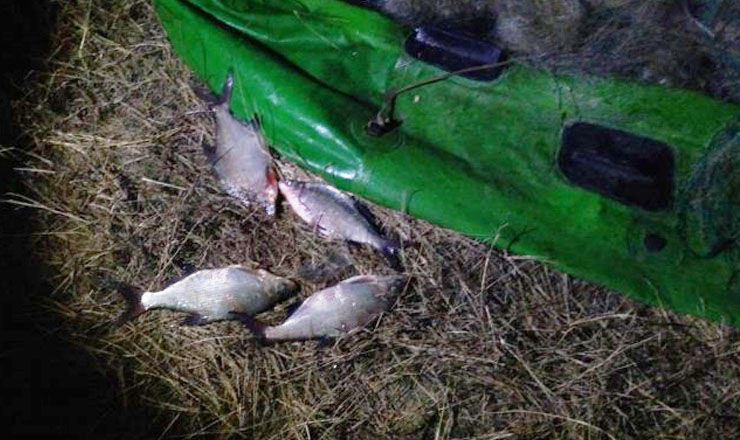 Жители Рышканского района попались на незаконном вылове рыбы.