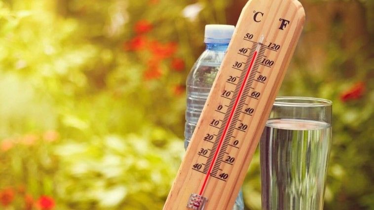 ГИЧС дал рекомендации в связи с жарой: Не разжигайте костры.