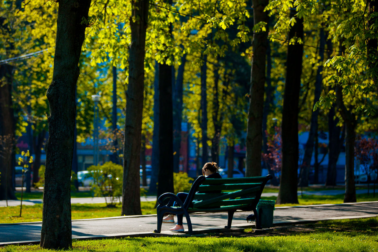 Метеорологи: Первого мая будет солнечная погода, а утром 2 мая ожидаются заморозки. Фото: Point.md