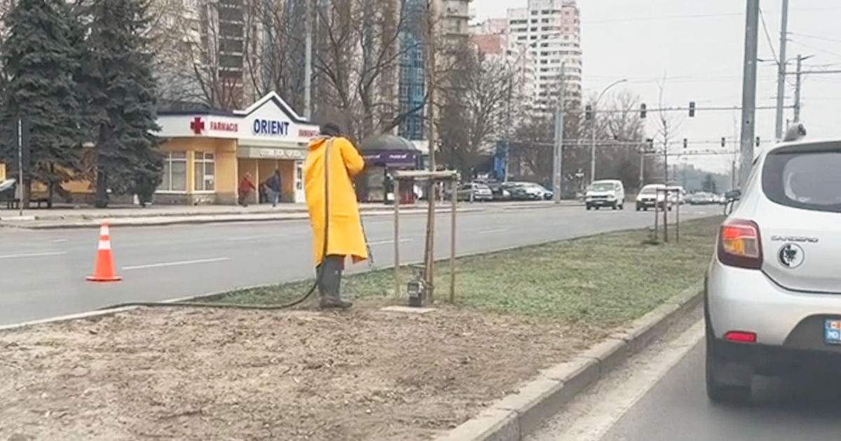 В мэрии пояснили видео, на котором рабочие "рисуют" газон на бульваре Дачия.