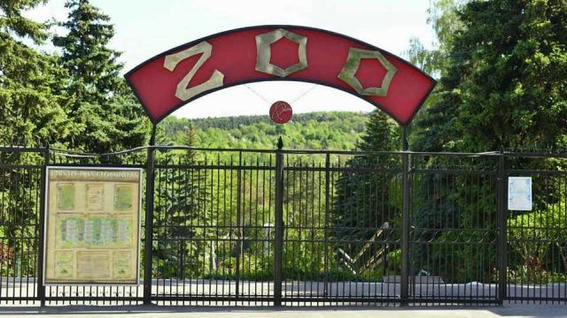 Кишиневский зоопарк закупит корм для животных почти на миллион леев.