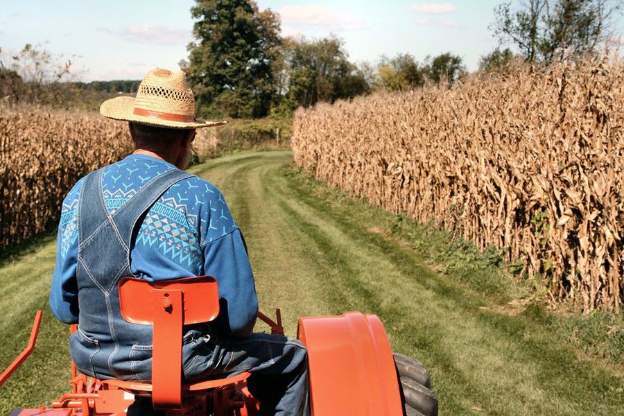 Producătorii agricoli care au avut de suferit în urma secetei din vara anului 2012 îşi vor primi compensaţiile până la 1 octombrie.