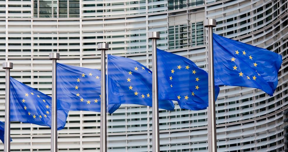 Семь организаций просят сохранить осуждение решения по изменению избирательной системы.