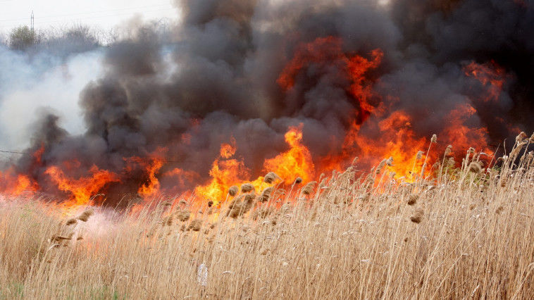 Pericol de incendii de vegetație. Foto: diez.md