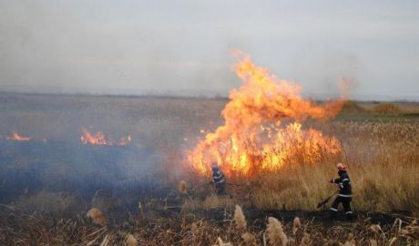 В условиях сильного ветра и высокой температуры любой источник огня представляет повышенную опасность возникновения пожара.