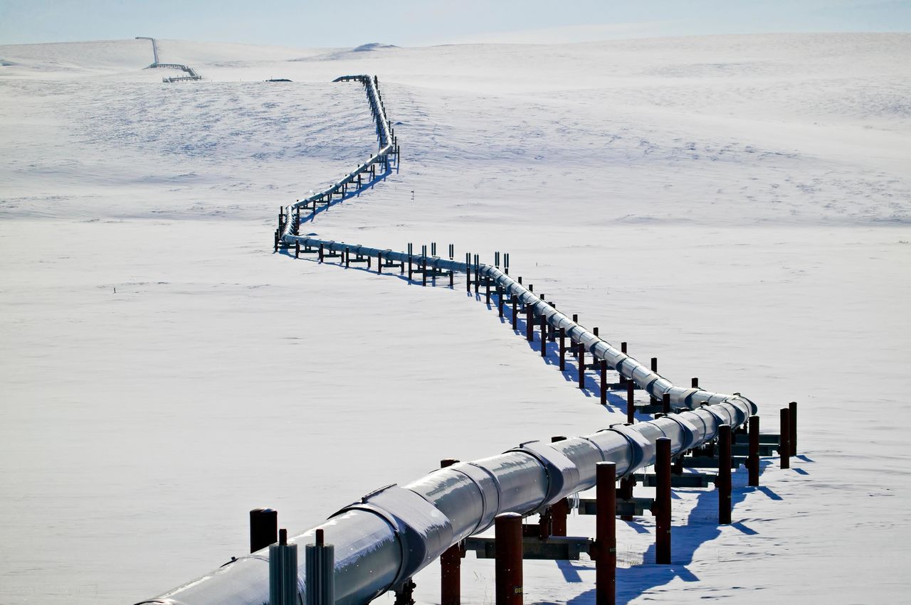 В Арктике нашли бактерии, которые разлагают солярку и нефть.