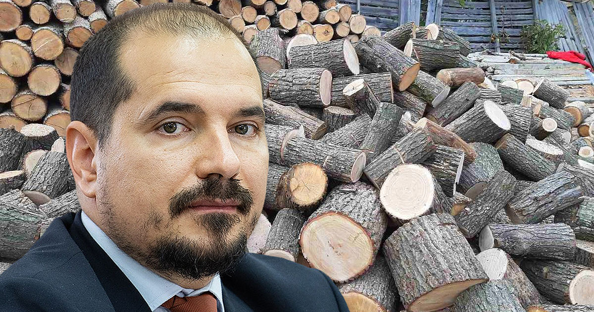 Бузу: Вместо дров, граждане получат денежную компенсацию. Коллаж: Point.md