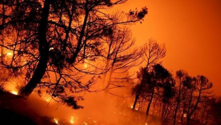 Mai mult, 26 de avioane şi elicoptere încearcă din aer să stingă flăcările.