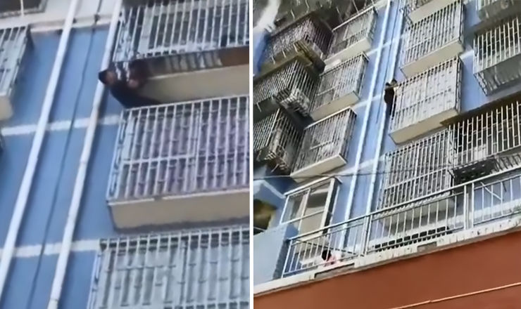 Прохожий забрался по стене на пятый этаж и спас ребенка.