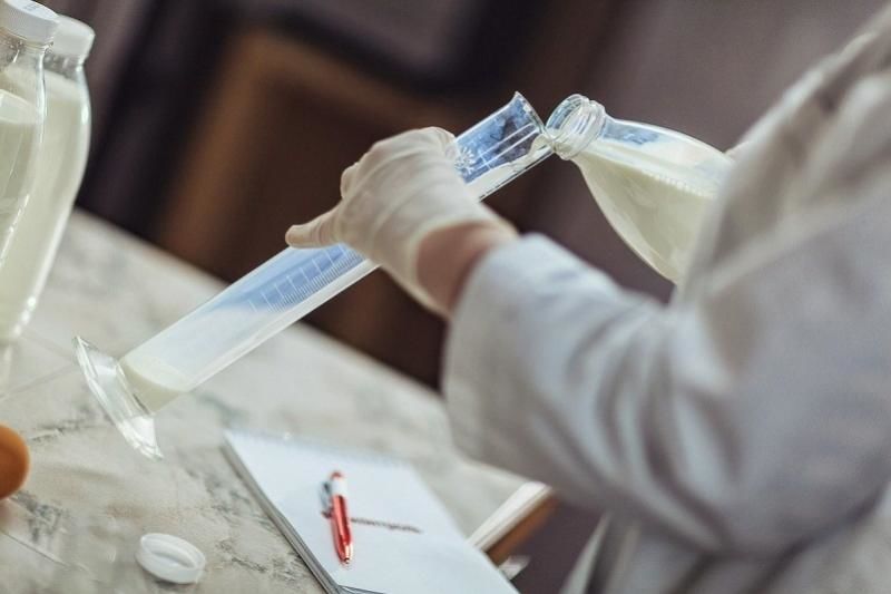 В Молдове государство объявило войну просроченным продуктам.