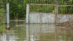 На данный момент затоплены два дома в селе, а объемы воды направились в сторону Украины.