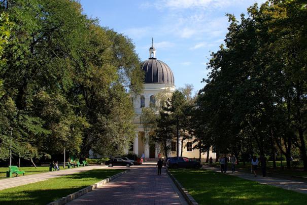 În urma inspecţiei anuale, Staţia Republicană de Verificare a Spaţiilor Verzi a apreciat starea arborilor din Chişinău
