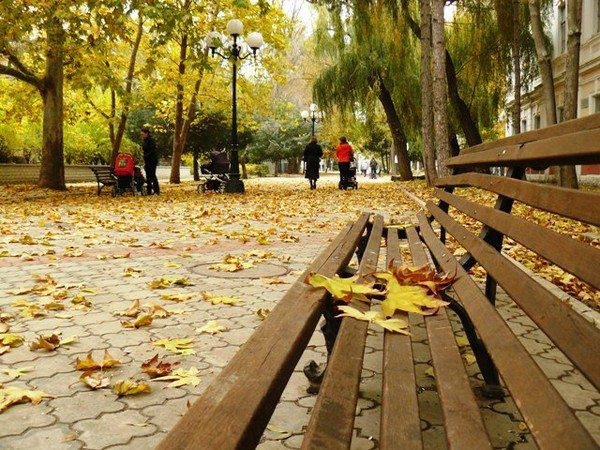 В последующие дни сохранится мягкая погода.