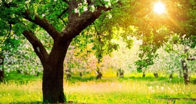 Mâine, vremea va fi determinată de influența unei zone de aer cu presiunea atmosferică scăzută. Foto: cancan.ro