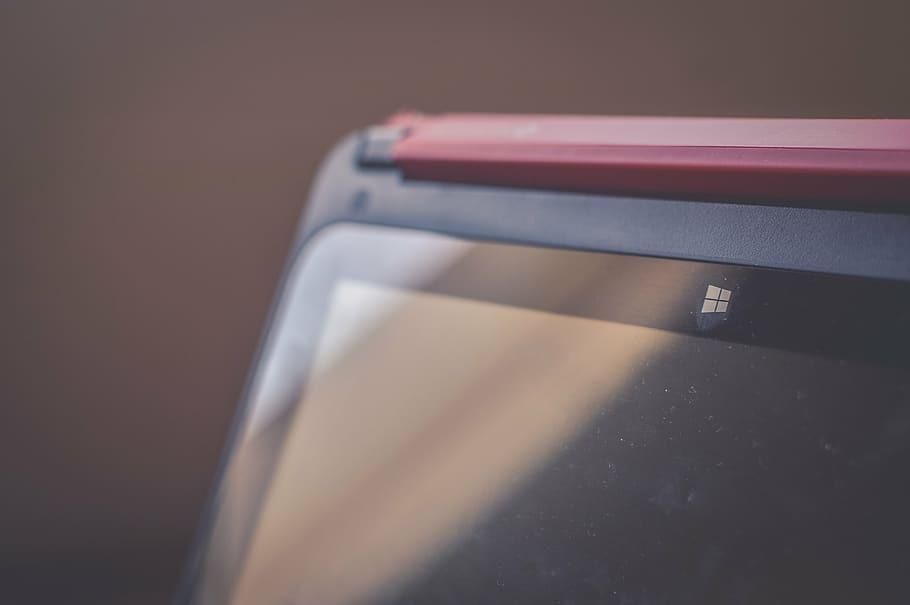 Microsoft остановил бесплатные подписки на Windows 365 из-за высокого спроса.