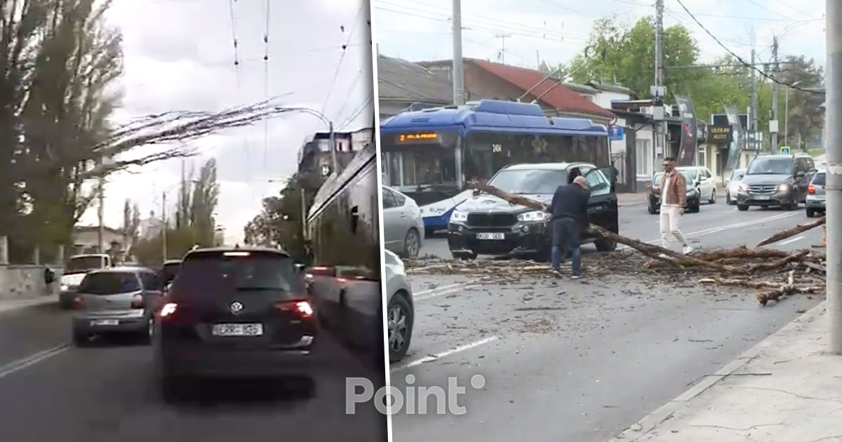 Momentul în care un copac mare cade direct pe carosabil în Capitală.