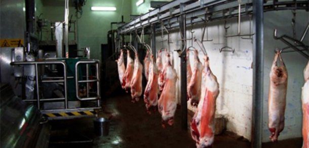 Rușii ridică embargoul la fructe și introduc control sporit la carne. Foto: mold-street.com