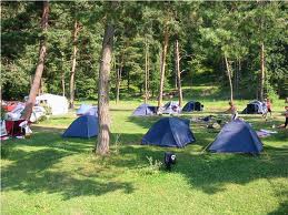 Copii pleacă într-o tabără de tratament şi instuire în orașul elvețian Trogen. Foto: crucearosie.ro