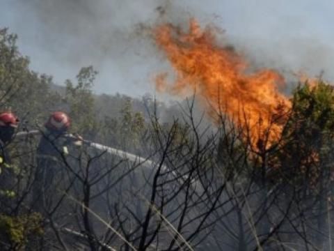 Peste 127 hectare de vegetație au fost arse de pe terenurile Republicii Moldova în ultimele 24 de ore. Foto: dse.md