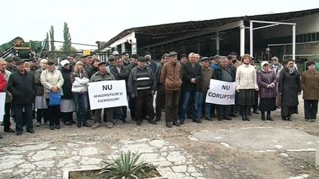 Angajaţii unor fabrici de conserve din ţară nu au lucrat astăzi. Foto: publika.md