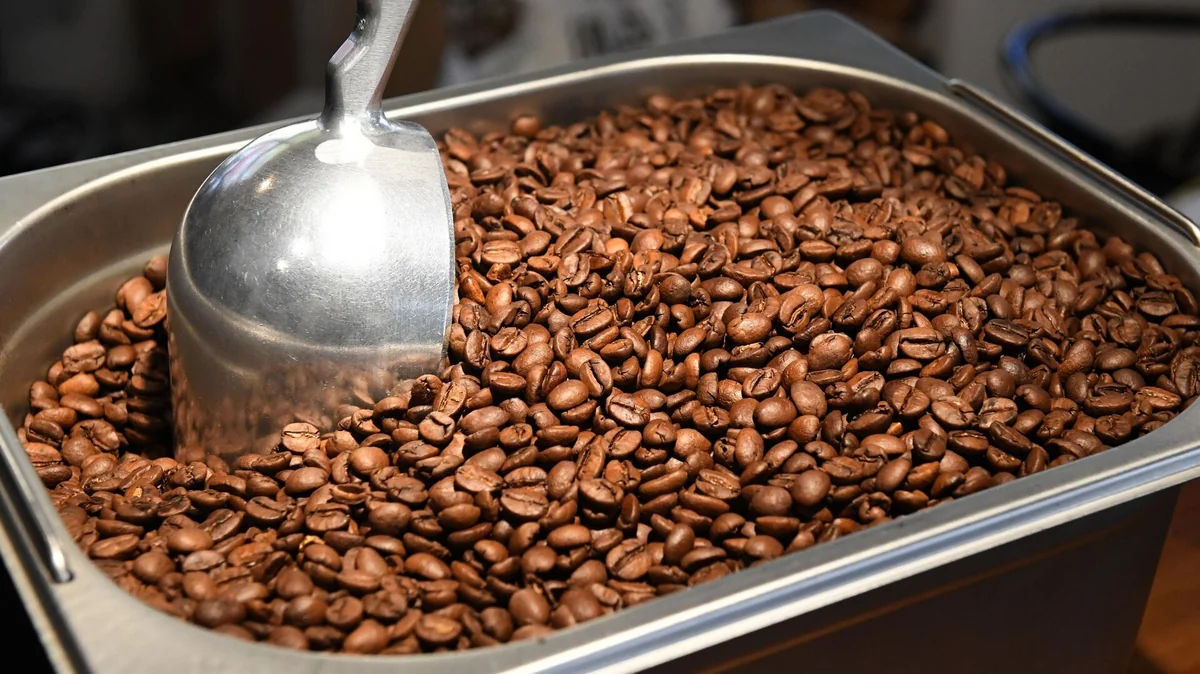 Prețurile cafelei Arabica au revenit la minimele înregistrate din noiembrie 2024.