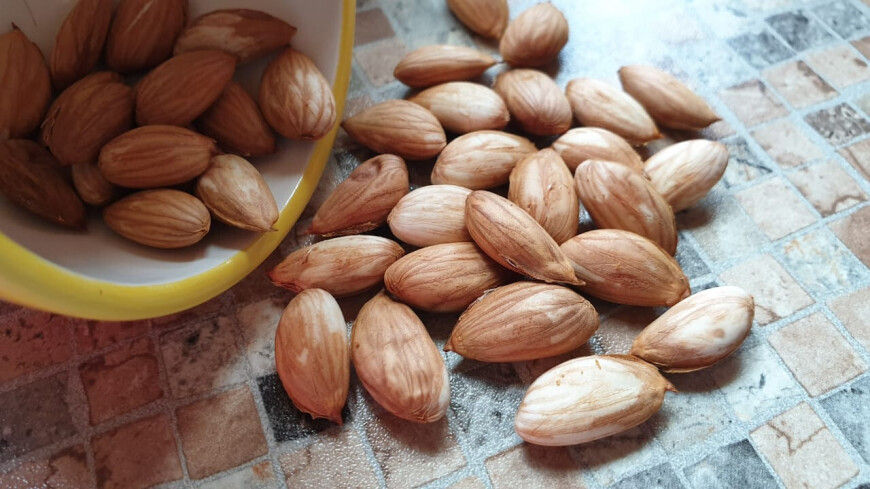 Названы продукты, заряжающие энергией в пожилом возрасте.