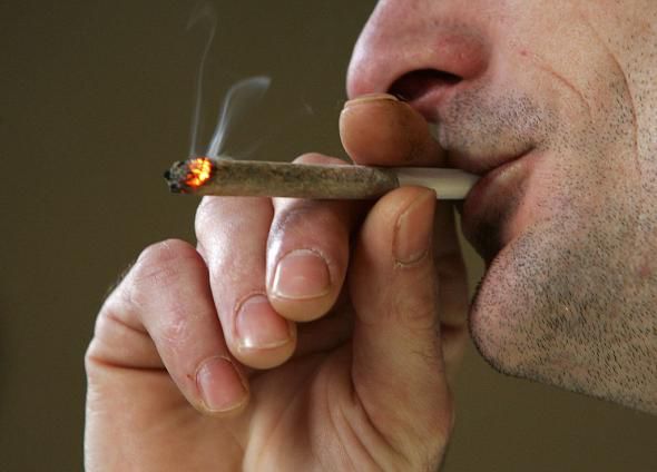 Voluntarii vor trebui să cumpere cannabisul de la vânzătorii autorizați, pentru ca cercetătorii să nu aibă contact direct cu drogul.