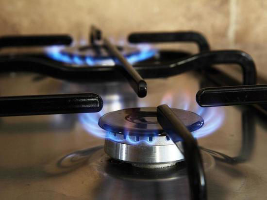 Правительство Болгарии посчитало поспешным отказ от оплаты газа в рублях.