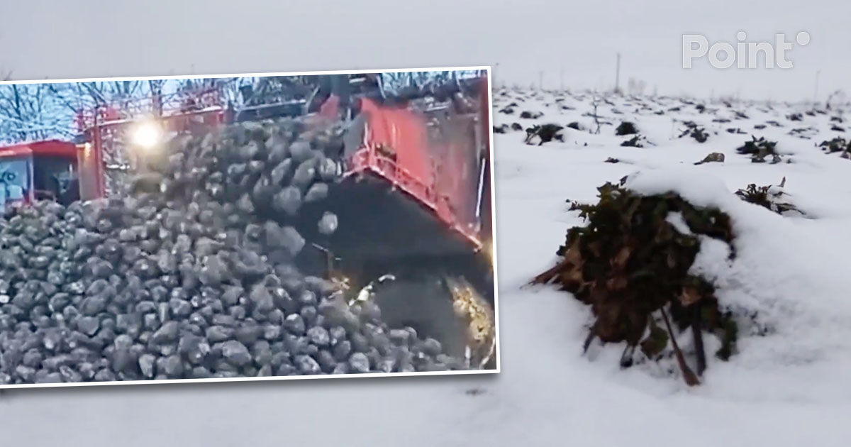 Vremea extremă a provocat pierderi de milioane de lei fermierilor din Moldova.