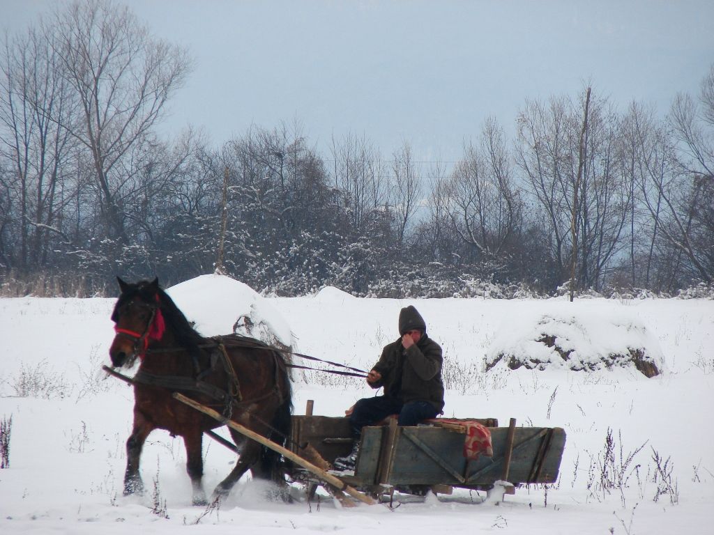 Când greșesc meteorologii, ne salvează înțelepciunea populară.