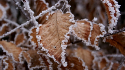 Meteorologii au înregistrat, în noaptea zilei de joi, cea mai scăzută temperaturădin acest început de toamnă.