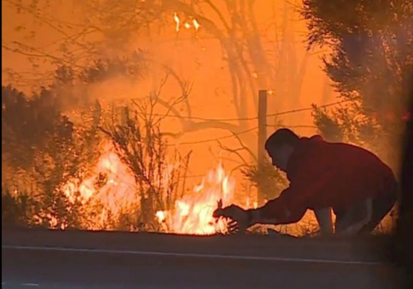 Un bărbat și-a riscat viața ca să salveze un iepuraș din flăcări în California.
