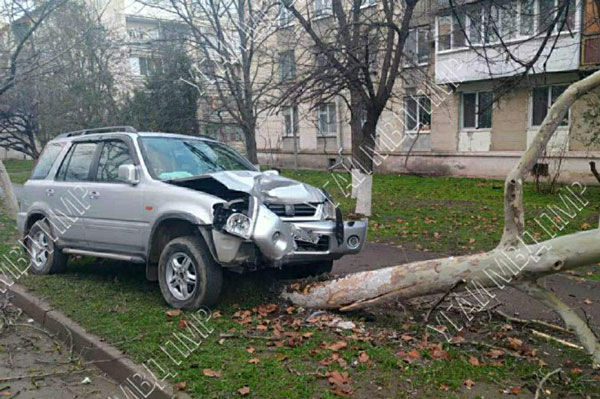 В Приднестровье мужчина потерял сознание за рулем и врезался в дерево.