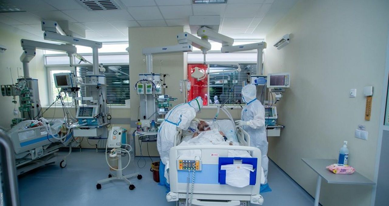 Уровень смертности в августе был на 15% ниже, чем в июле. 