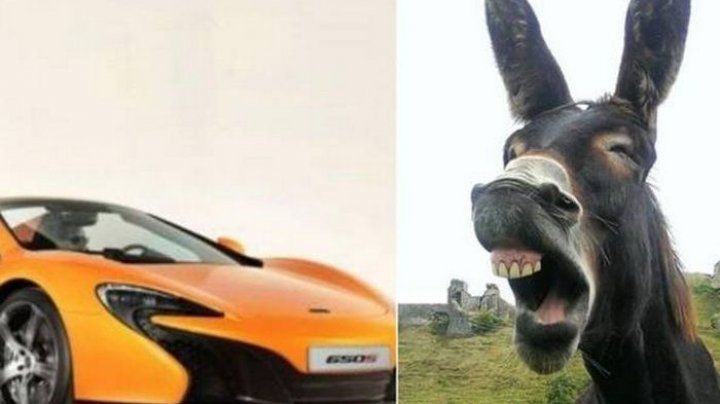 Şi-a găsit maşina vandalizată de măgar. Ce spune stăpânul animalului