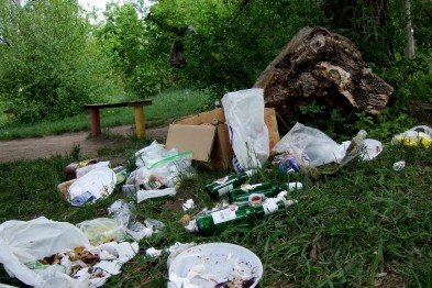 Зрелище после пикников оказалось печальным.