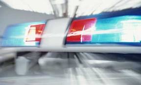 В ходе проведения следственных мероприятий полицией был установлен и задержан подозреваемый в совершении данного преступления. Фото: poplicks.com