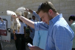 Kaparot-ul este un ritual religios evreiesc care are loc în timpul Sărbătorilor sfinte. 