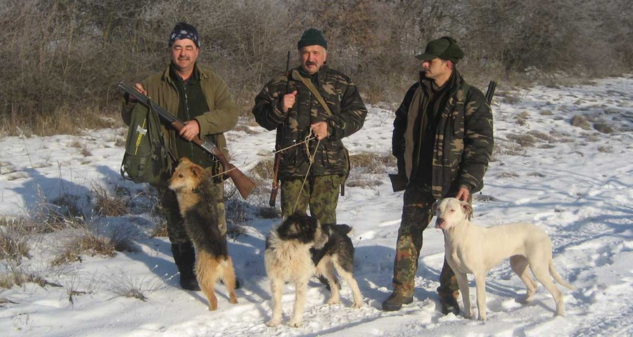 Conform prevederilor instrucţiunilor în vigoare, au fost informate organele de drept teritoriale.