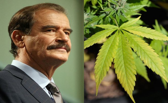 Fostul preşedinte mexican, Vicente Fox, este de părere că actuala administraţie ar trebui să legalizeze cultivarea şi vânzarea de marijuana.